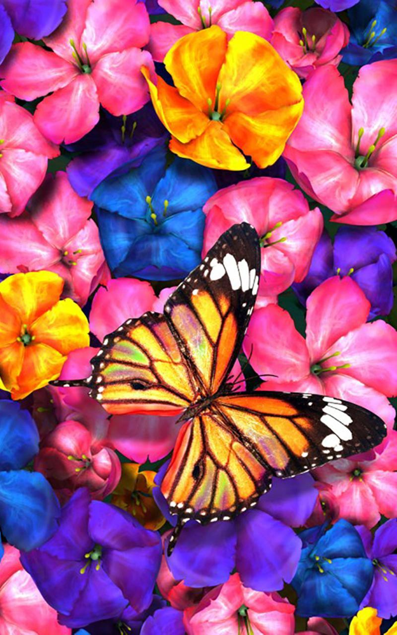 App Schmetterling App Schmetterling