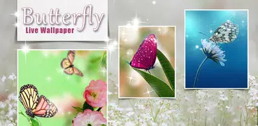 Schmetterling Hintergründe