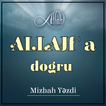 ALLAHA DOĞRU