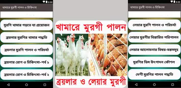 খামারে মুরগী পালন ও চিকিৎসা