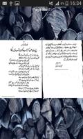 Marsiya Meer Anees الملصق