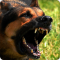 Dog Barking Sounds Ringtones