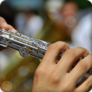 Flute Sounds Ringtone aplikacja