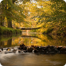 River Sounds Ringtone APK