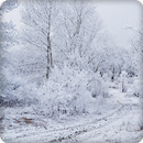Snow Ice Sounds Ringtone APK