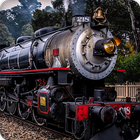 Train Sounds icon