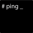 Ping Test-icoon