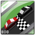 Wrong Way Race