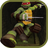 The Ninja Adventure Turtle 아이콘