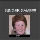 Gingergame icône