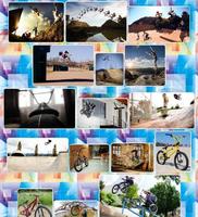 BMX Freestyle ảnh chụp màn hình 2