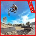 BMX фристайл