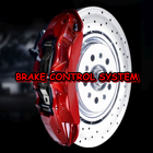 BRAKE CONTROL SYSTEM-icoon