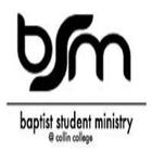 Collin BSM Mobile icon