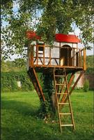 Backyard Treehouse Design captura de pantalla 1