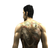 APK Back Tattoos