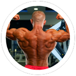 Back Workout For Mass