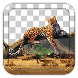 Background Changer App - Eraser Photo Editor icon