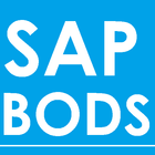 SAP BODS Interview Reference icône