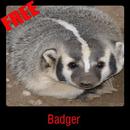 Badger APK