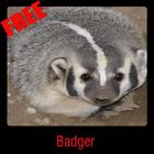 Badger icône