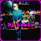 DJ Snake Music ikon