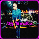 DJ Snake Music icono