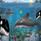 Sea Animals Memory Learning icon