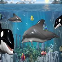 Sea Animals Memory Learning Affiche