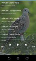 Burung Perkutut Istimewa Mp3 ảnh chụp màn hình 2