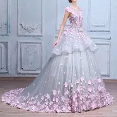Ball Gown Wedding Dress APK download