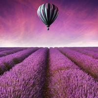 برنامه‌نما Balloons Live Wallpaper عکس از صفحه