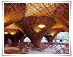 Bamboo Ceiling Design 스크린샷 1