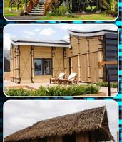 برنامه‌نما Bamboo House Design عکس از صفحه