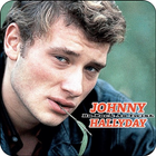 Johnny Hallyday Toutes les Chansons icône