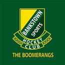 Bankstown Sports Hockey Club APK