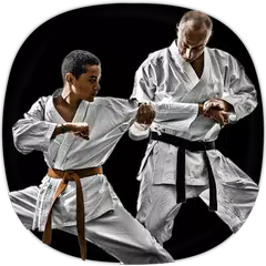 Скачать Karate Training Guide XAPK