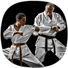 Przewodnik szkolenia karate ikona