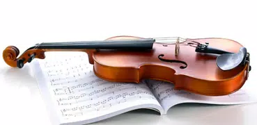 Violin Lessons Guide