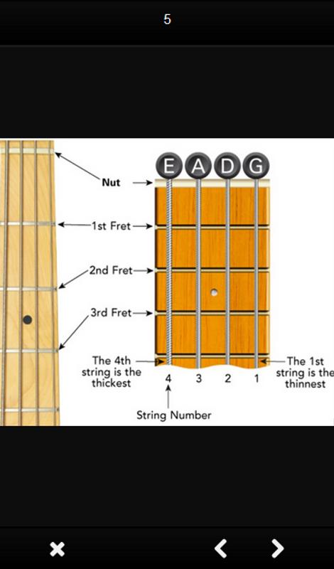 Bass guitar chords for Android - APK Download