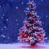 XMas LiveWallpaper أيقونة