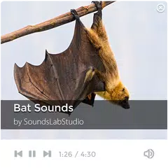 Bat Sounds アプリダウンロード