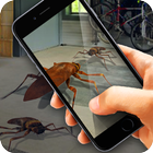 Insect Cockroach Quest Floor icon