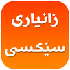 زانیاری سێكسی-Zanyari Sexi APK