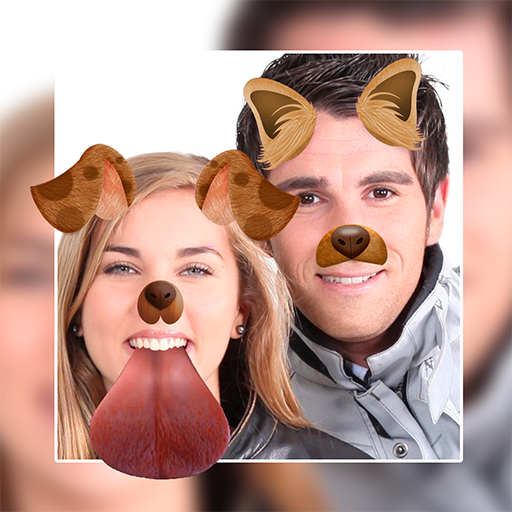 Tier Gesicht Für Fotos