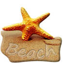 Beach Live Wallpaper APK