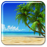 Strand  Live-Hintergründe Zeichen