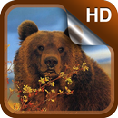 APK Bear Live Wallpaper HD
