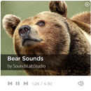 Bear Sounds APK
