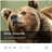 Bear Sounds APK